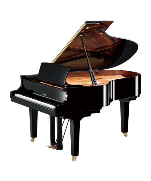 PianoBarb